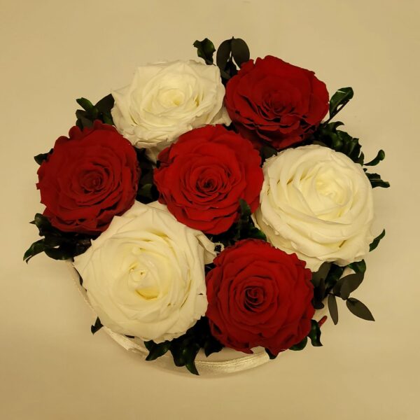 uinunud punased_valged roosid2